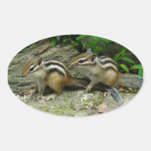 シマリスシール　chipmunk stickers