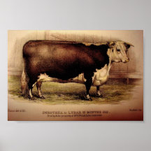 1874 DOROTHEA de gravação Leominster do gado de He Posteres