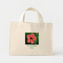 20100830_2752 o hibiscus, é um beautifulDay! Bolsa Para Compras