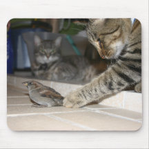 2 gatos e um pássaro mousepad