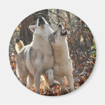 2wolves imã de refrigerador