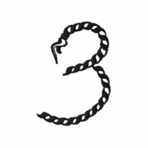 "3" corda número 2,5" camisas bordadas