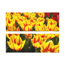 A arte da natureza da fotografia das canvas imprim impressão de canvas envolvida