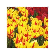 a arte floral das canvas 12x12 imprime tulipas ver impressão de canvas esticada
