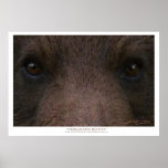 A arte INSUPORTÁVEL do ~ da BELEZA (urso de urso)  Poster
