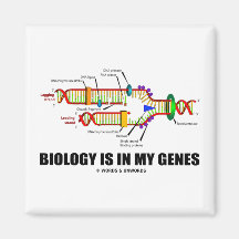 A biologia está em meus genes (a réplica do ADN) Imãs