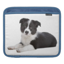 A bolsa de laptop do iPad do cão de filhote de cac Bolsa De iPad