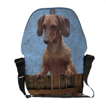 A bolsa mensageiro de Ollie