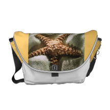 a bolsa mensageiro dos peixes da estrela