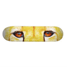 A chita africana selvagem eyes o skate