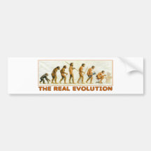 A evolução real adesivo