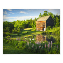 A fazenda no Adirondacks, N.Y. de John Brown Foto Artes
