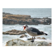 A gaivota de mar convida convite personalizado