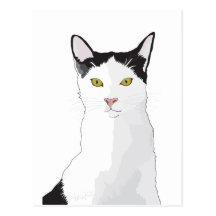 a Gata Cartao Postal