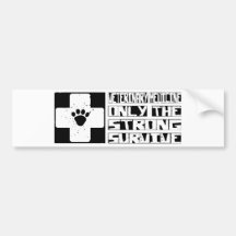 A medicina veterinária sobrevive adesivos