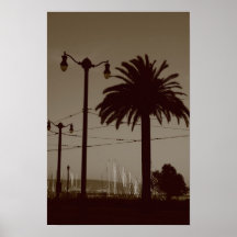 A palmeira na cidade posters