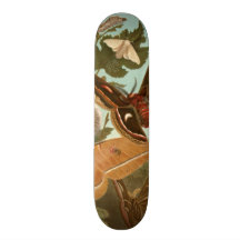 A plataforma do skate das traças desinseta a borbo
