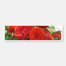 A rosa vermelha dos ROSAS floresce 2 canecas dos p Adesivos