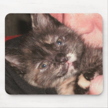 A SURPRESA DE SHANNON MOUSEPAD