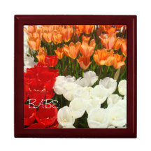 A tulipa da caixa de presente do BORRACHO floresce