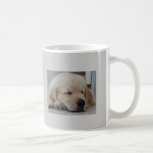 A vida do filhote de cachorro do golden retriever 