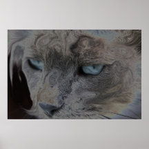 A vida do gato impressão