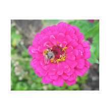 Abelha da flor impressão de canvas envolvidas