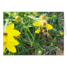 Abelhas do primavera cartoes
