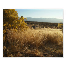 Abra o campo impressão de foto