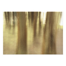 Abstrato da natureza convite personalizados