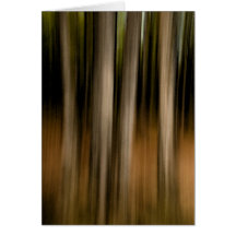 Abstrato das árvores cartao
