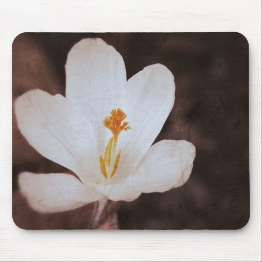 Açafrão afligido Mousepad