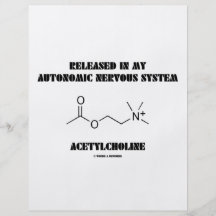 Acetylcholine autonómico liberado do sistema nervo panfletos