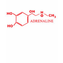Adreneline Camisetas