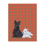 Adulto do Scottie & filhote de cachorro de Westie