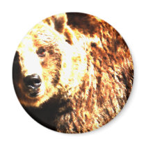 Aguarela do urso de urso ímãs