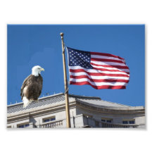 Águia americana e bandeira americana fotografia
