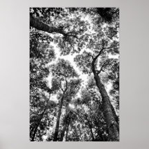 Ajustado natural (partes superiores da árvore) poster
