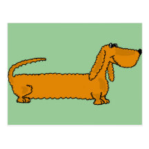 AK- Dachshund Funky Cartões Postais
