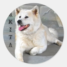Akita Adesivos Em Formato Redondos