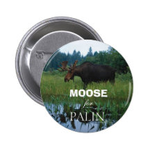 Alces para Palin Pins