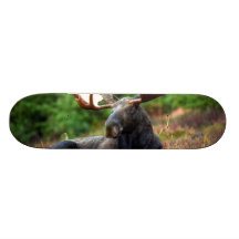 Alces Skate