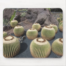 alfombrilla de cactus tapete de raton