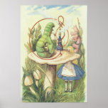 Alice encontra Caterpillar Poster