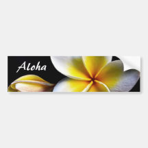 Aloha o Frangipani havaiano floresce Plumerias Adesivo