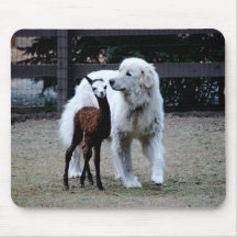 Alpaca Mousepad