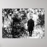Alvin York Posteres