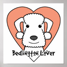 Amante de Bedlington Pôsteres
