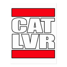 Amante do gato do gatinho do gatinho cartao postal