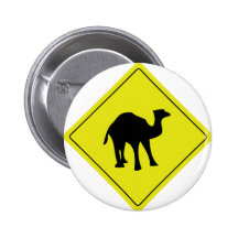 amarelo australiano do roadsign do camelo boton